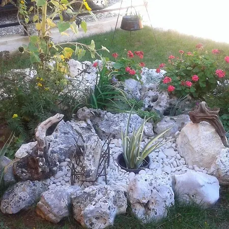 Arijana1 *